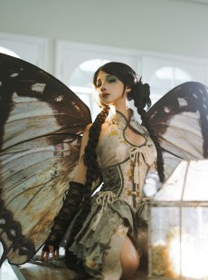 动漫博主蠢沫沫 - 枯叶蝶