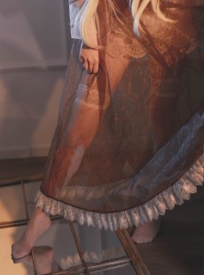  福利姬嘎潼 - 透明女仆