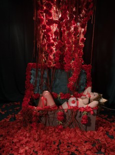 云溪溪 - 奶桃 狗狗4.0